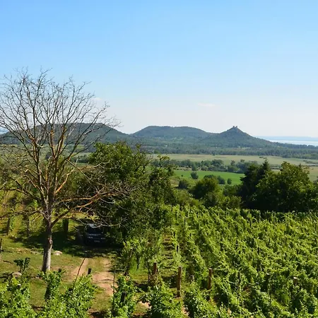 Grand Cru 3. * Hegymagas