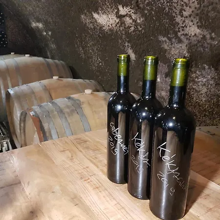 Grand Cru 3. Vendeghaz