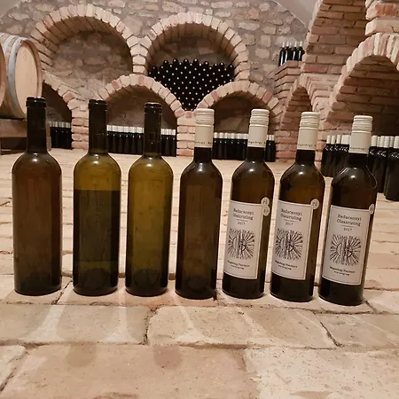 別荘 Grand Cru 3. Vendeghaz Hegymagas