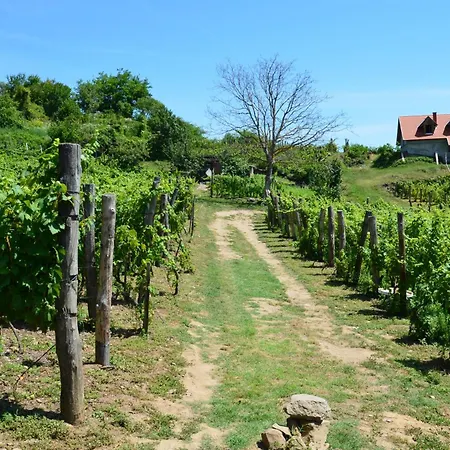 Grand Cru 3. Vendeghaz Vakantiehuis Hegymagas