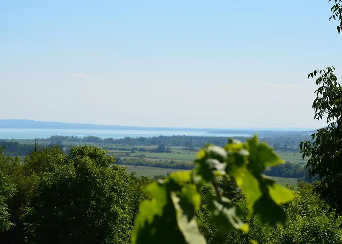 Grand Cru 3. Vendeghaz * Hegymagas