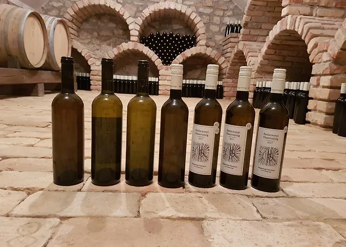 בית נופש Grand Cru 3. Vendeghaz Hegymagas