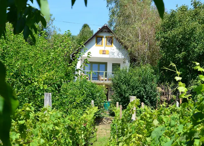 Grand Cru 3. Vendeghaz *