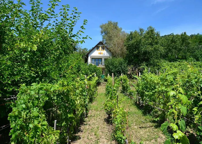 Grand Cru 3. Vendeghaz *